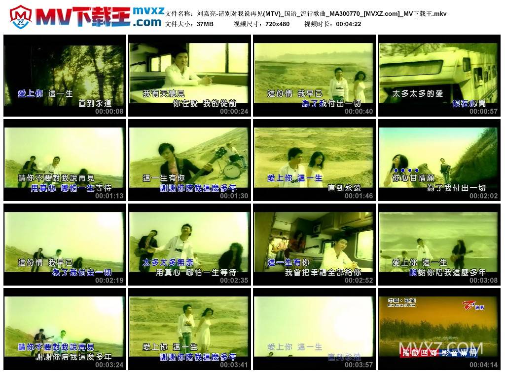 刘嘉亮-请别对我说再见(MTV)_国语_流行歌曲_MA300770